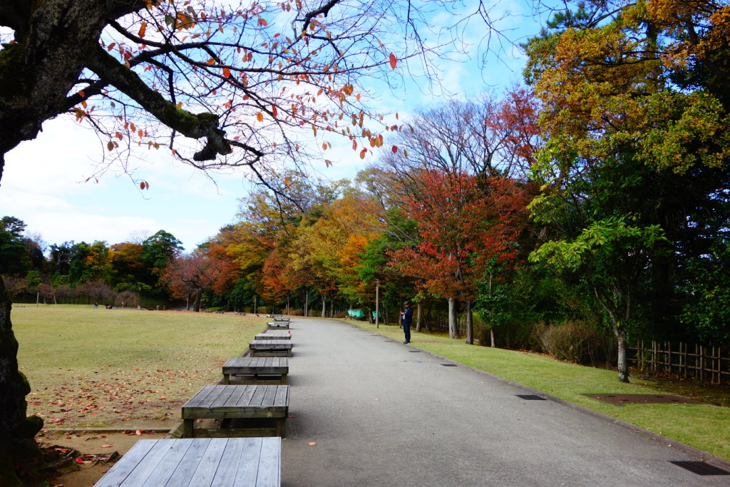 金沢城公園　紅葉