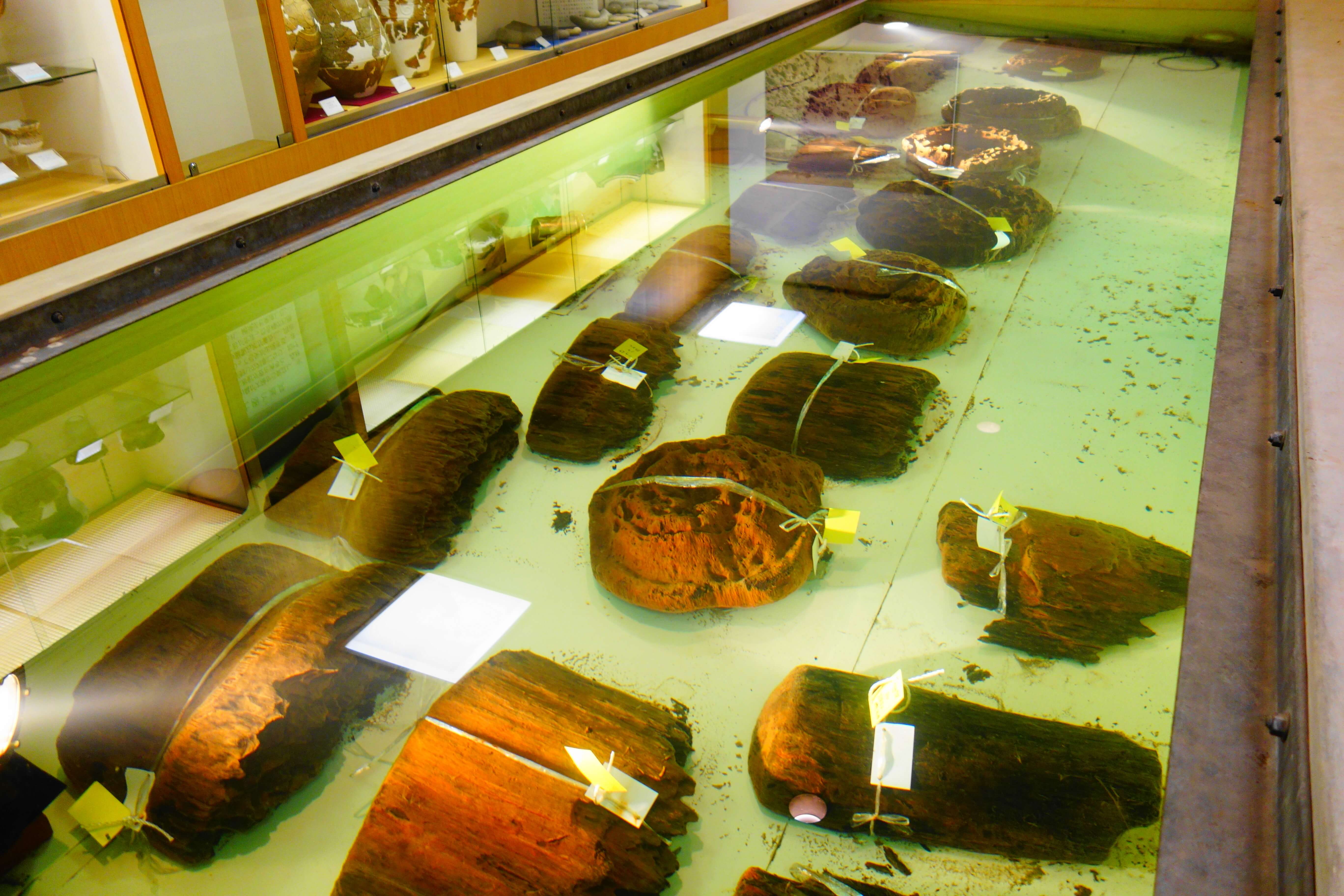 金沢市埋蔵文化財収蔵庫の木柱根