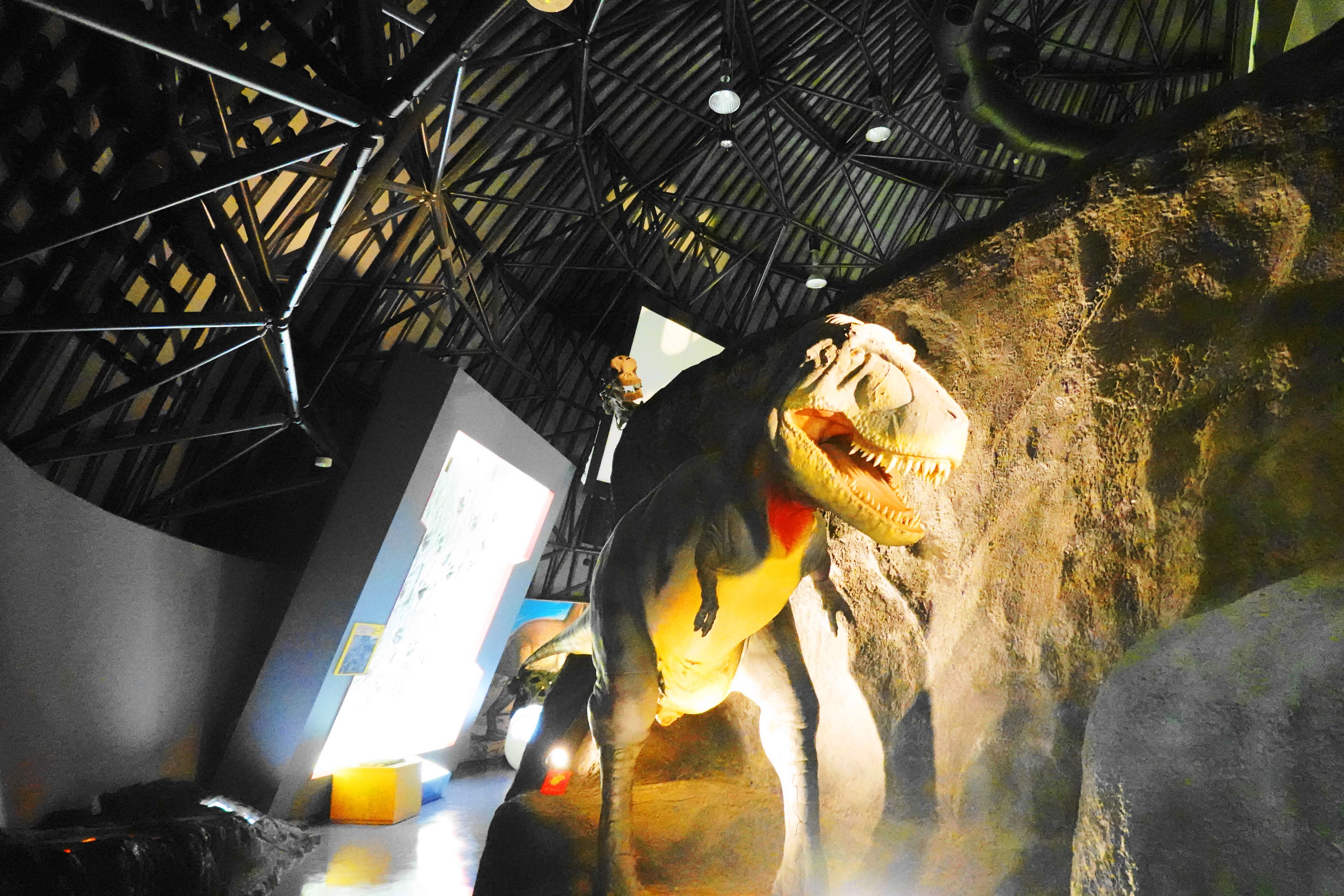 白山恐竜パーク白峰｜白山市で子どもと一緒に化石掘り体験ができる